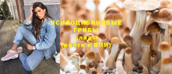 синтетический гашиш Медвежьегорск