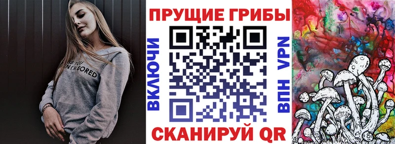 Псилоцибиновые грибы мицелий  где купить   гидра ONION  Новое Девяткино 